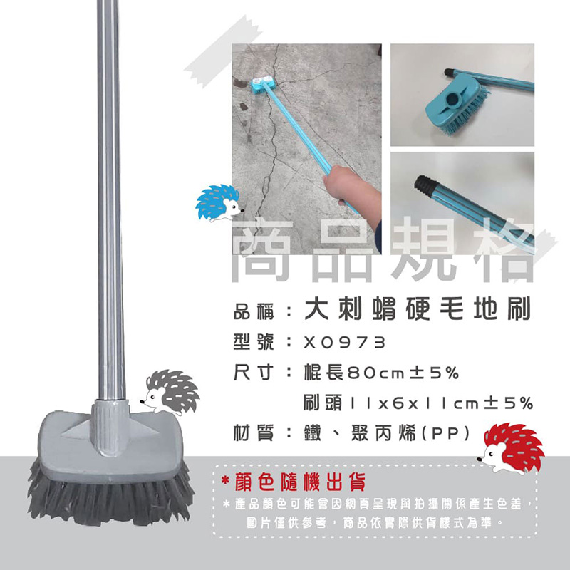 【小閨祕】 大刺蝟硬毛地刷